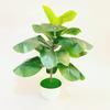 Ficus Pandurata Hance Faux Greenery With Realistic Leaves For Office And Living Room