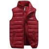 Men's Stylish Cross-Border Autumn/Winter Vest with Down Cotton - Trendy Large Size Leisure Wear for Young Men.