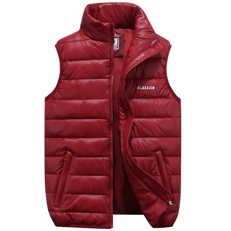 Men's Stylish Cross-Border Autumn/Winter Vest with Down Cotton - Trendy Large Size Leisure Wear for Young Men.