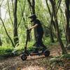 KuKirin G2 Adults E-Scooter, 800W Motor48V 15.6 Ah Battery, Foldable Electric Scooter, Range 45km, 10-inch Tires