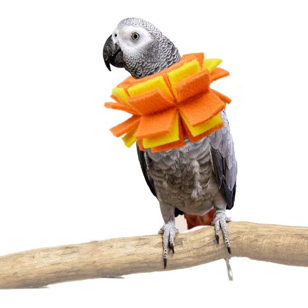Neck Collar for African Grey Parrots Feather Plucking Bird Anti Bite Collar Neck Shield