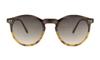 Charly Therapy Unisex Sunglasses Barcelona Polarized Lenses Hedgehog CharlyTh-BAR77