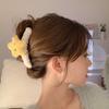 Fluffy Star Shark Hair Clip - Cute Japanese Hairpin for Autumn/Winter