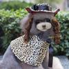 Dog Cape British Elegant Trench Coat Four Seasons Can Wear Cross-dressing Shawl Handsome Cute Pet Clothes