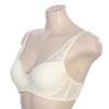 Barbara 2color Lace Mold Bra Abr4455
