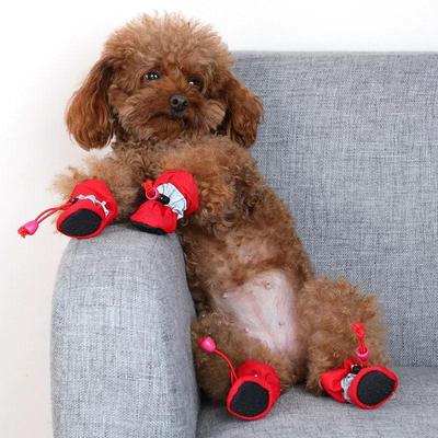 Anti-Rutsch Weiche Sohle Hundeschuhe für Kleine & Mittelgroße Hunde - Sicherer Halt für Frühling & Herbst
