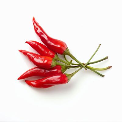 25 Bird Pepper Seeds - Semi-Wild Permaculture