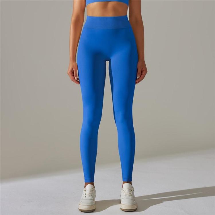 High Waist Seamless Yoga Pants for Women Stretchy Gym Leggings Fitness Exercise Sports Tights