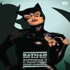 Batman One Bad Day Catwoman by Jamie McKelvie Hardback Book 9781779520333