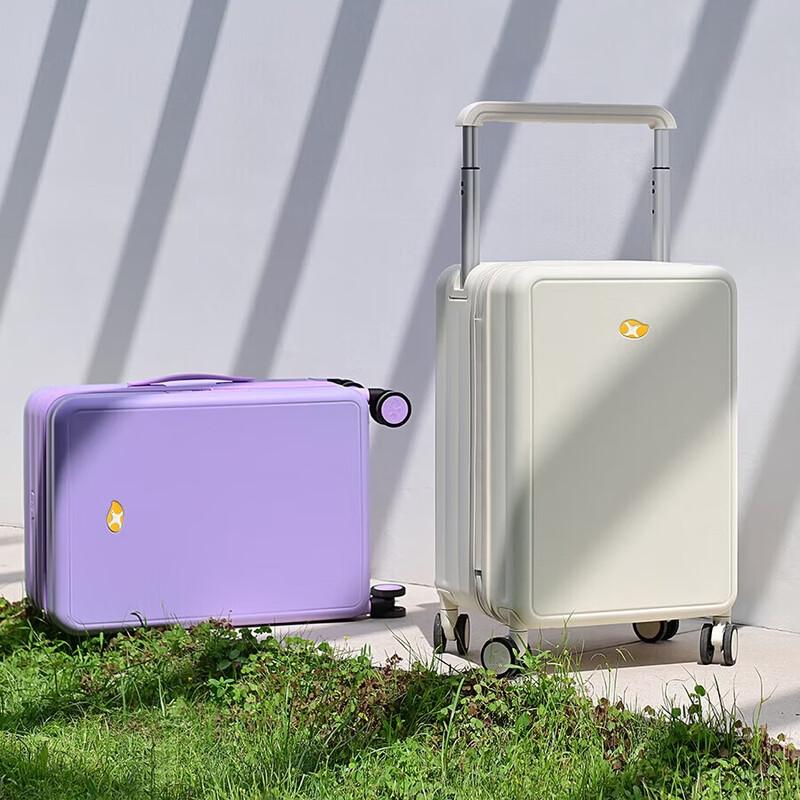 Mango Bird Waterproof Carry-On Luggage 20-inch (No Front Cover)