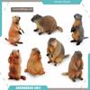 Wild Animal Models: Handmade Groundhog, Squirrel, and Chipmunk Forest Ornaments