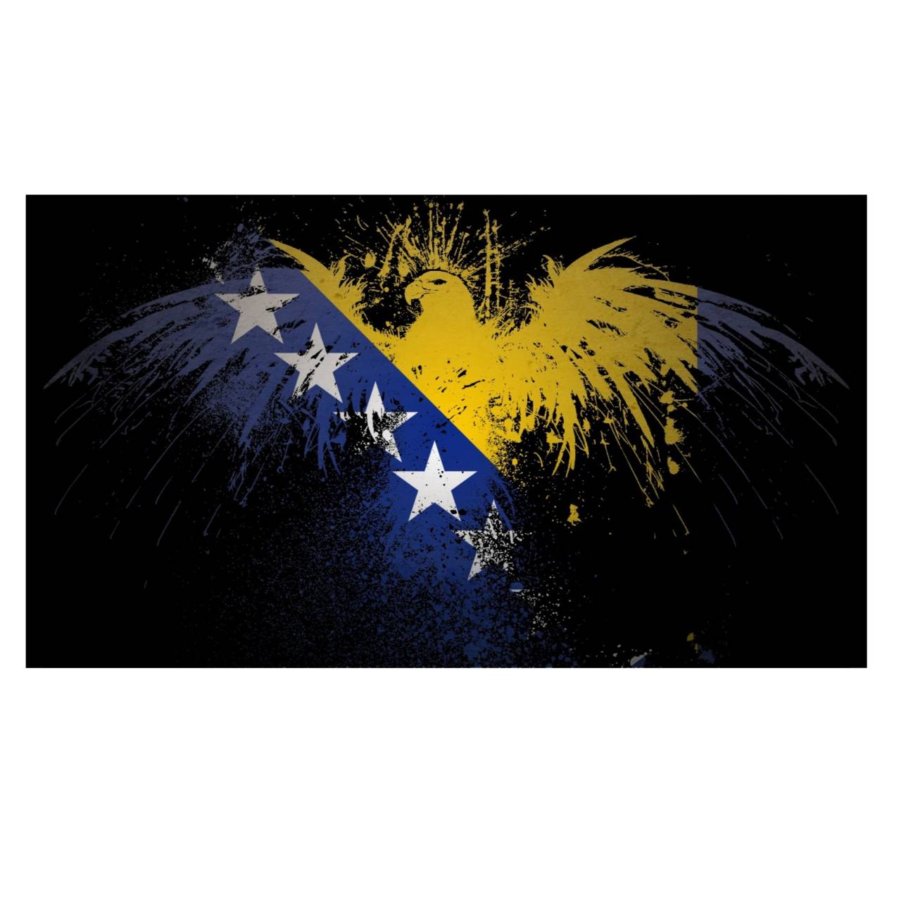 Футболка Bosnia MMA Kick Boxing UFC Muay Thai с винтажным принтом флага страны для мужчин — фото 5