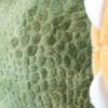 The Access Triceratops Plush Toy, a Dinosaur Rest Dinosaur Toy