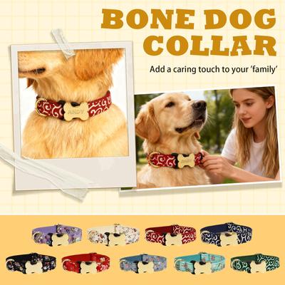 Köpek – Köpek Tasmaları ve Tasma Kayışları