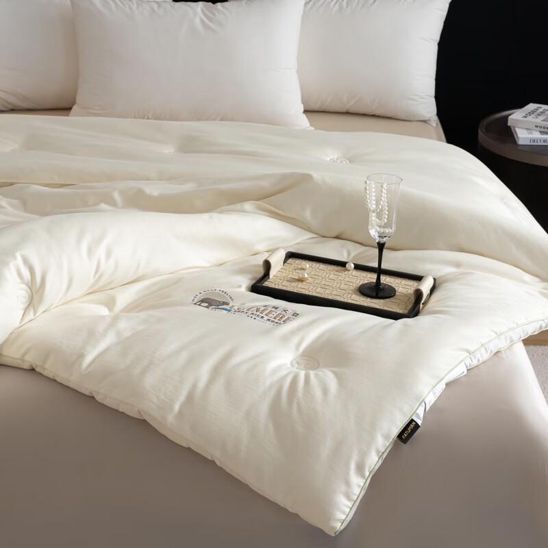 Jacquard Cashmere Soybean Blend Winter Quilt