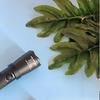 Xingbolang XBL75-17 Explosion-Proof LED Flashlight