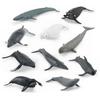 PIGMANA Realistic Whale Figurines Toy - Play Sea Animals Figurines Set - Toy For Kids, Realistic Set For Sea Lovers, Includes Beluga