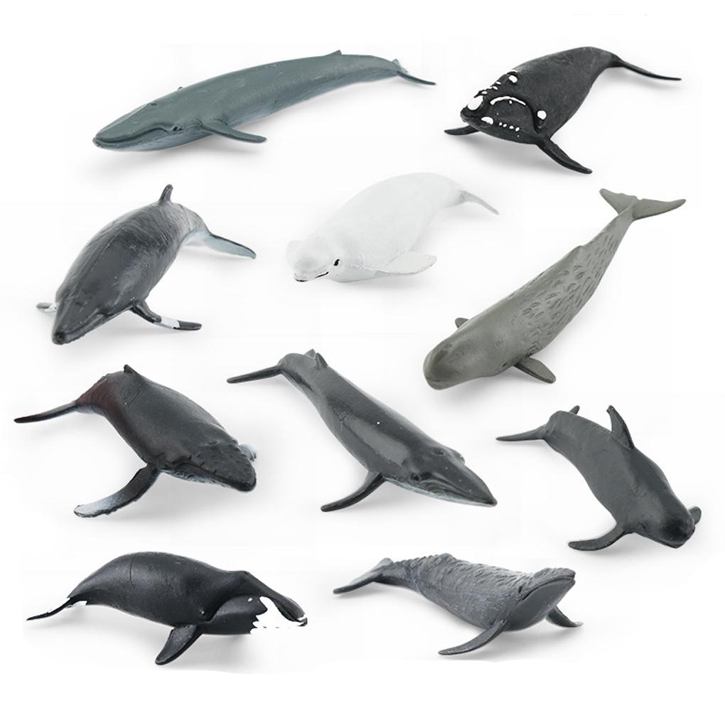 PIGMANA Realistic Whale Figurines Toy - Play Sea Animals Figurines Set - Toy For Kids, Realistic Set For Sea Lovers, Includes Beluga