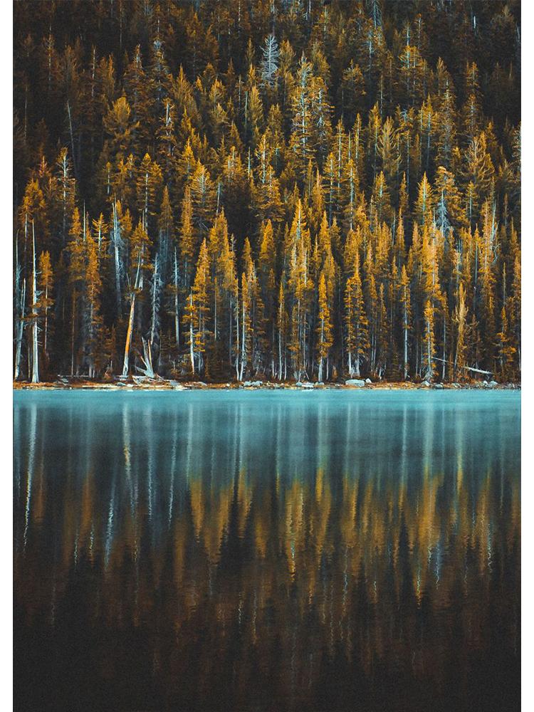 Nordisk Natur Landskap Grønn Skogsvei Fjellsjø Plakat Lerretsmaleri Veggkunst For Moderne Stue Hjem Dekorasjon