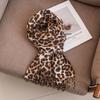 Autumn and Winter Leopard Print Scarf Large Shawl for Women Autumn and Winter New Double Sided Scarf Versatile Tassel Thickened Outer Wear