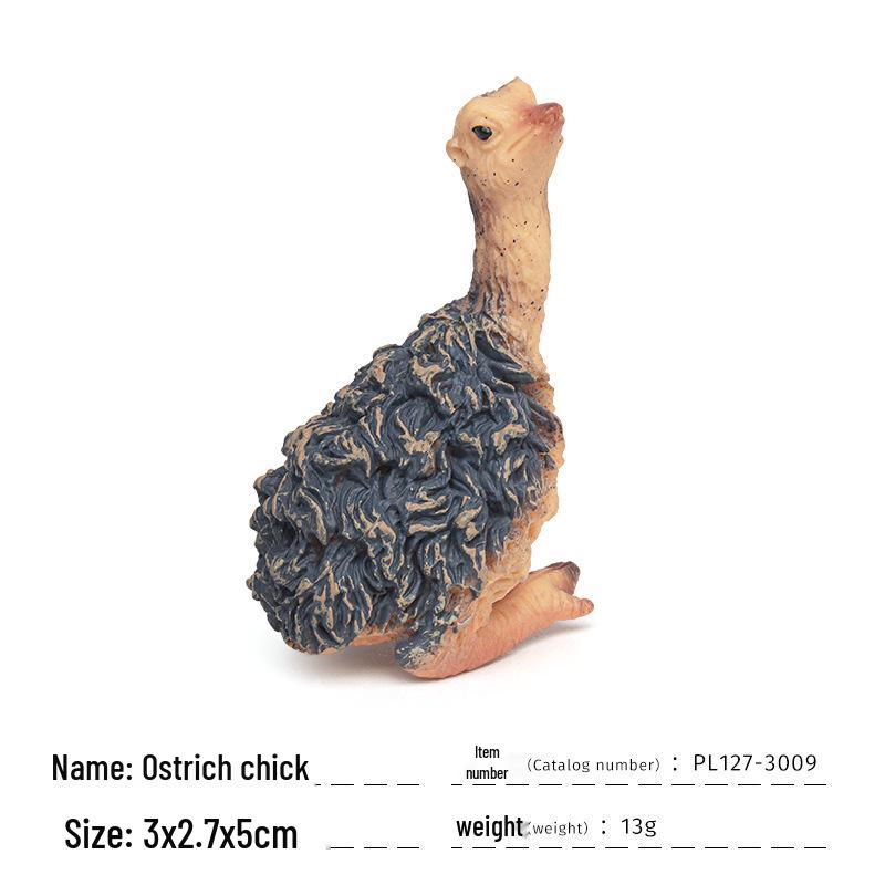 Children s Cognitive Ostrich and Flying Bird Models for Farm Decoration