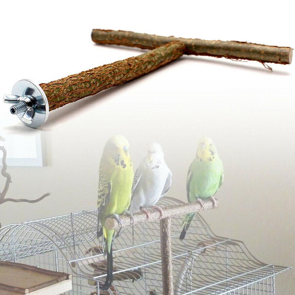 parakeet supplies
