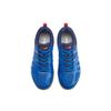 Li Ning Swirl V2 Cushioning Lightweight Slip Resistant Low Top Badminton Shoes Unisex Blue AYTP029-1
