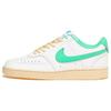 Court Vision Low Sail Electric Algae Heren Sneakers Crème Bleek-Vanille Middelblauw FJ5437-133