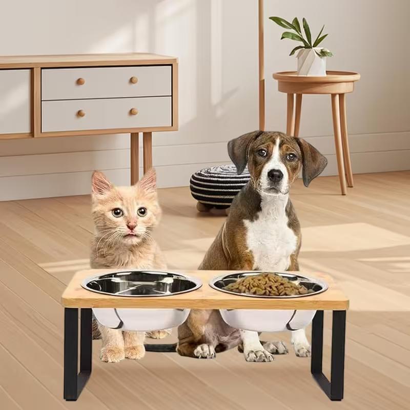 Elevated Cat Bowls Pet Feeder 15° Tilted Raised Cat Food Bowls with Wooden Stand 2 Stainless Steel Bowls for Cats