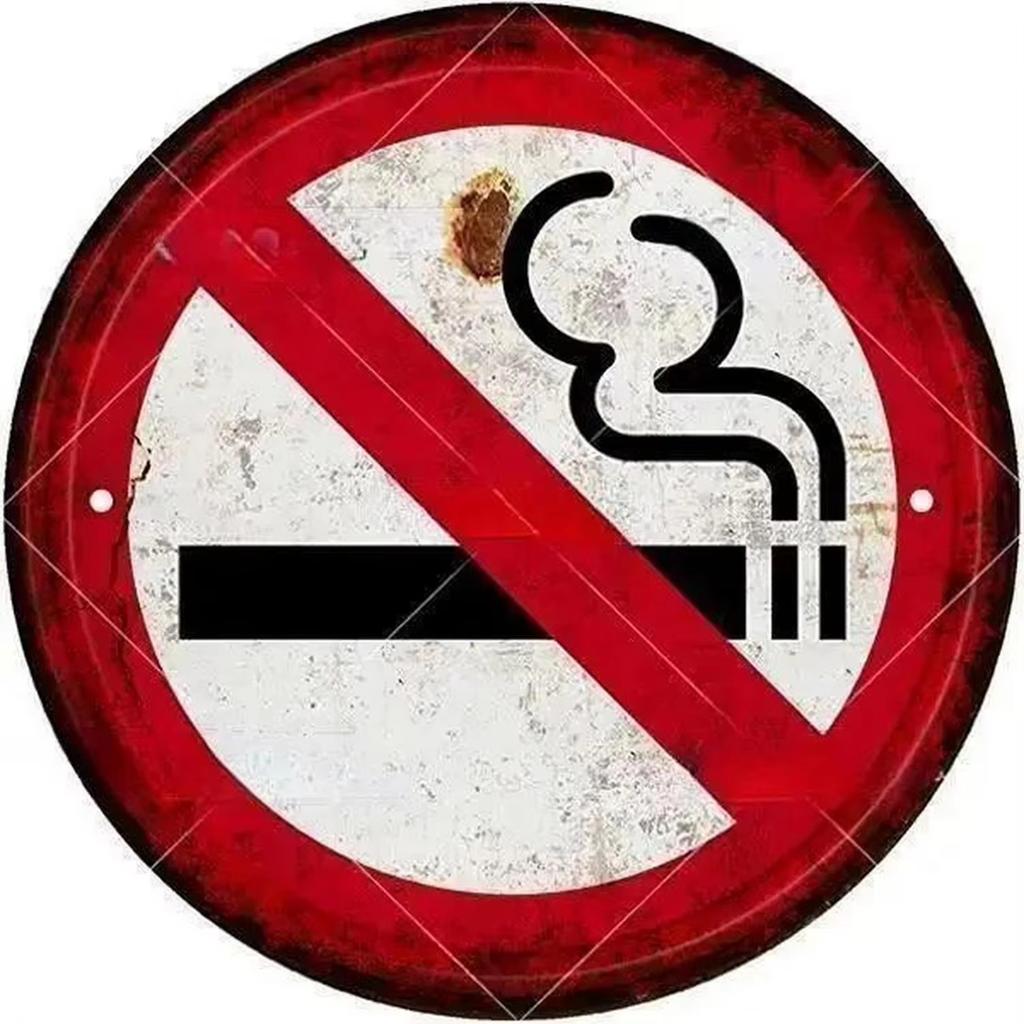 Vintage Metal Tin Sign No Smoking Without Me Iron Wall Art for Home Bar Garage Shop Garden Cafe Decorative