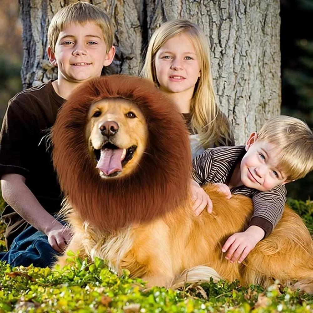 Plush Material Lion Mane Wig Hat Funny Design Pet Photo Prop Hat Cat Wig Hat  Halloween Party