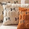 Decorative Pumpkin Accent Thanksgiving Cushion Cover  Plush Embroidered Throw Pillow Soft Case Cozy for Farmhouse Home Autumn Decor Square