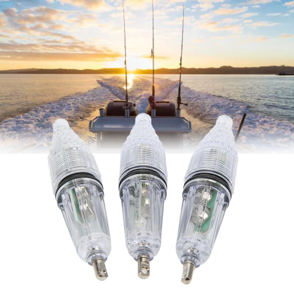 Folding Camping Barbecue Rack Rust Proof Light Portable Stainless Steel Barbecue Grill for Outdoor Outings Hiking Courtyard