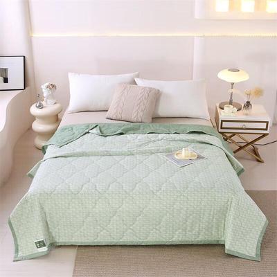 Mugwort Antibacterial Summer Quilt