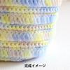 Sawada Knitting Kit Clear Handle Bag Kit Lemon Squash "NAILY A-001"