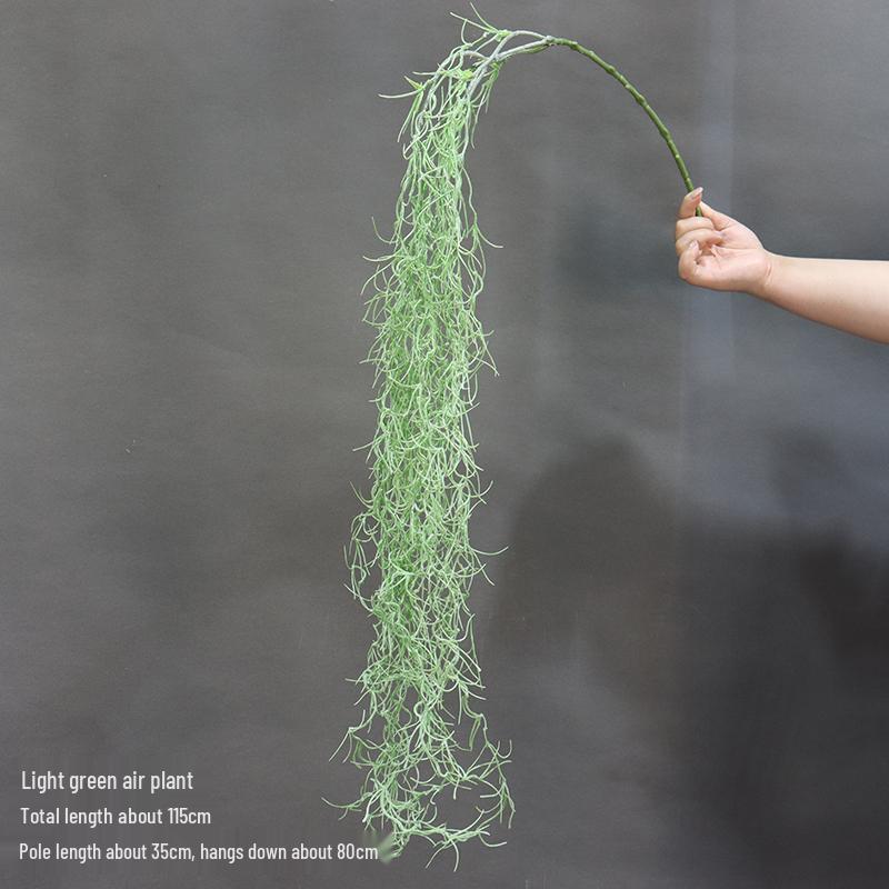 Asparagus Fern & Willow Buds Greenery for Wedding Decor & Landscaping