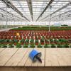 High Quality Garden Drip Irrigation System 50PCS Adjustable Sprinklers