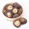 Dried Shiitake Mushrooms Edible Fungus Natural Healthy Nutritious Gourmet
