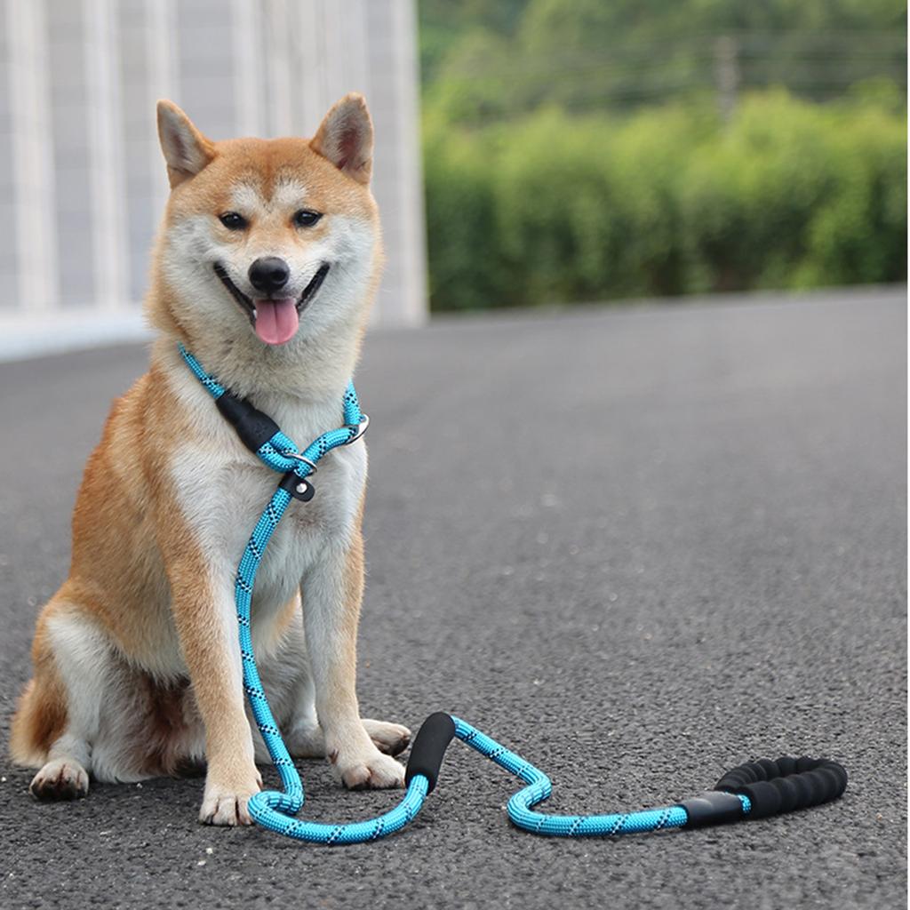 Satın alın Duty Dog Training Leash Rope Leash with Traffic Padded Two