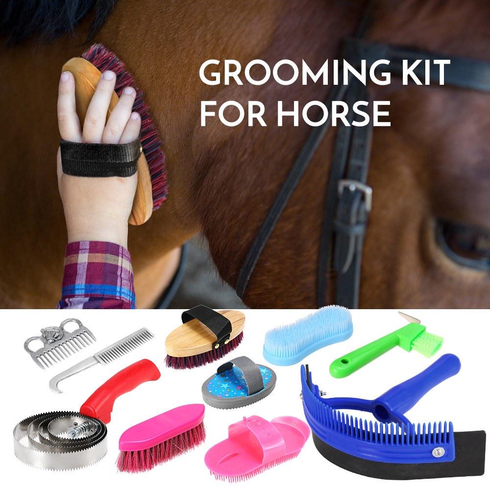 Buy 10-IN-1 Horse Grooming Tool Set Cleaning Kit Mane Tail Comb Massage ...