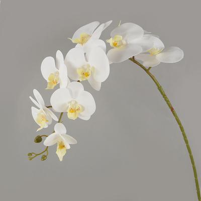 Decorațiuni pentru casă – Flori decorative şi coroane de flori