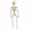 With Sound Halloween Movable Skeleton 40cm Simulated Human Skeleton  Haunted House