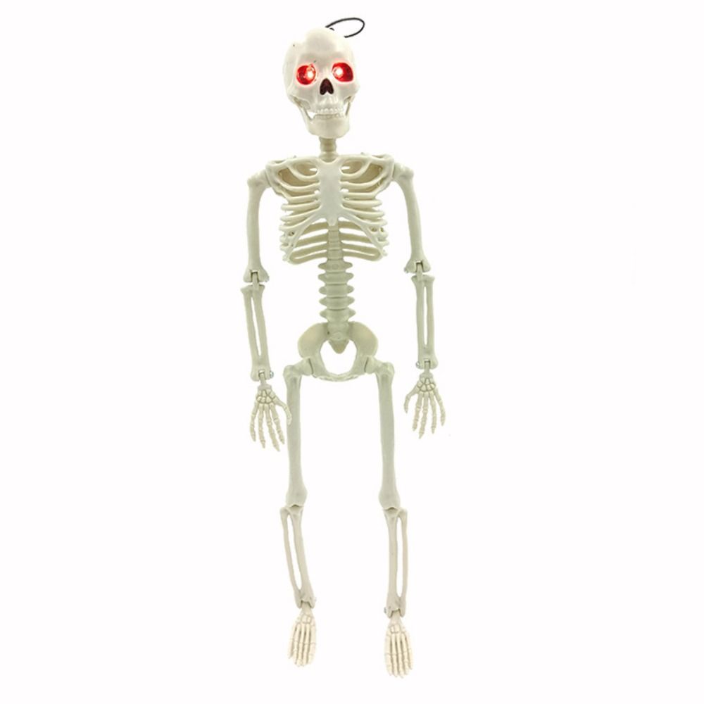 With Sound Halloween Movable Skeleton 40cm Simulated Human Skeleton  Haunted House