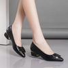 Pointed High Heels Women's Thick Heel Spring New Low Heel Medium Heel Women's Shoes Soft Leather Not Tired Feet Shallow Mouth Single Shoes