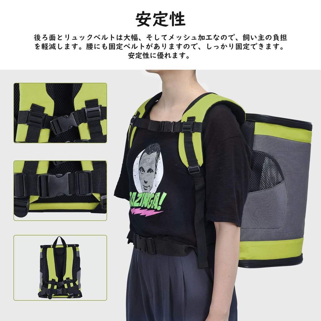 Pettom Cat Carry Bag Dog Pet Carrier Pet Backpack Backpack, Backpack, Cute, Breathable, Non-Collapsible (Green)