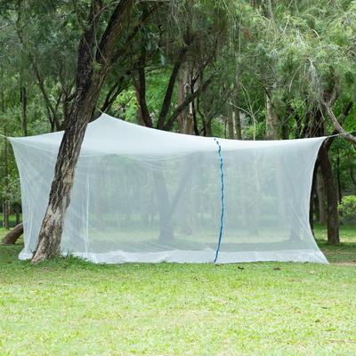 DEWEL Mosquito Hanging for 6 Tatami Use with Insect Centipede High High Mosquito Person with Rope and Adhesive 400cm X 250cm X 200cm Net, Large, Type,