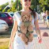 Hands Free Pet Front Backpacks Breathable Portable Pet Bag Practical Dog Outgoing Bag  Outdoor