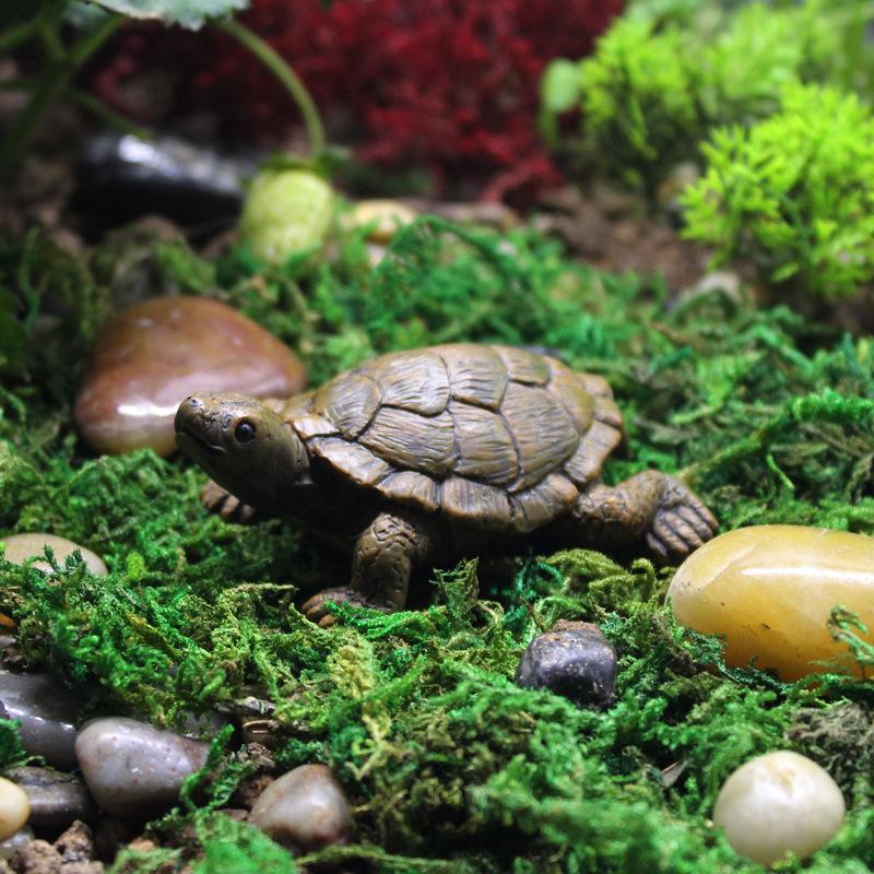 Micro Landscape Simulation Turtle Ornaments: New Garden & Balcony Decor for Succulent Plants