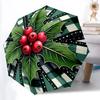 Accesorii – Umbrele