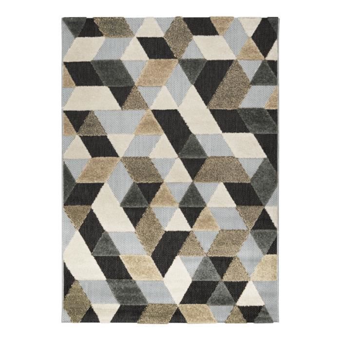DEHORS-DEDANS GEOMET - Tapis pour intérieur-Extérieur Jardin et terrasse Résistant à la pluie - 160 x 230 cm Gris, Noir et Brun